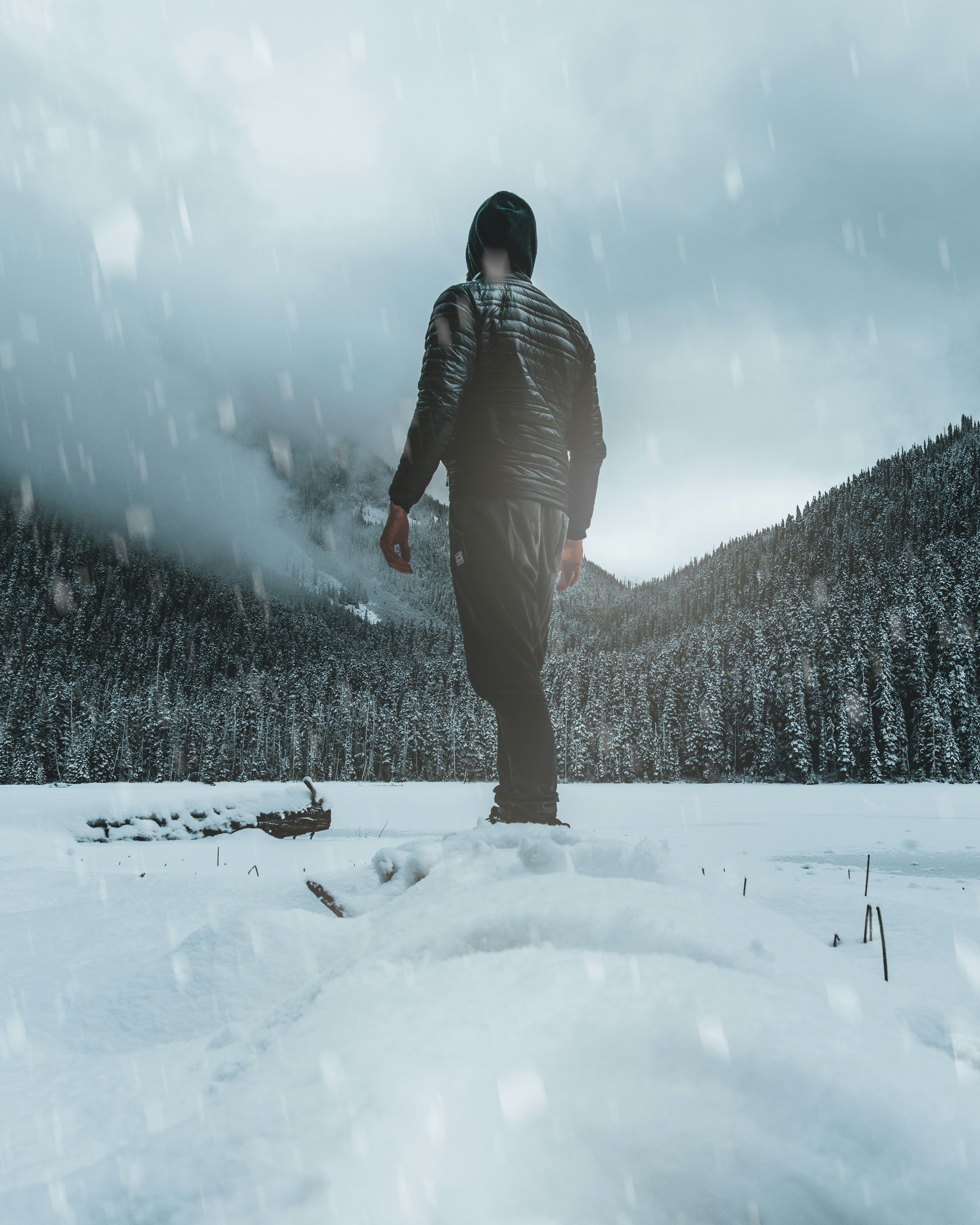 man standing on snowfield front of pine trees